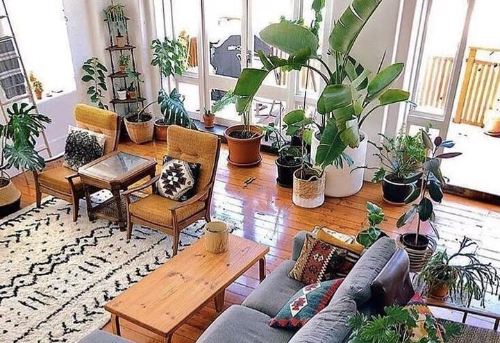 白宫公布美俄会晤特朗普最新行程安排