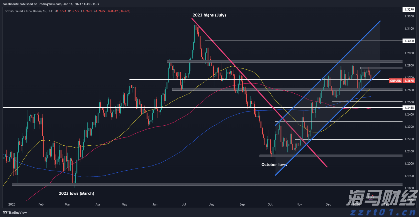 医我看｜被蚂蚁咬了别拖延！症状会延后 第一时间如何处理？