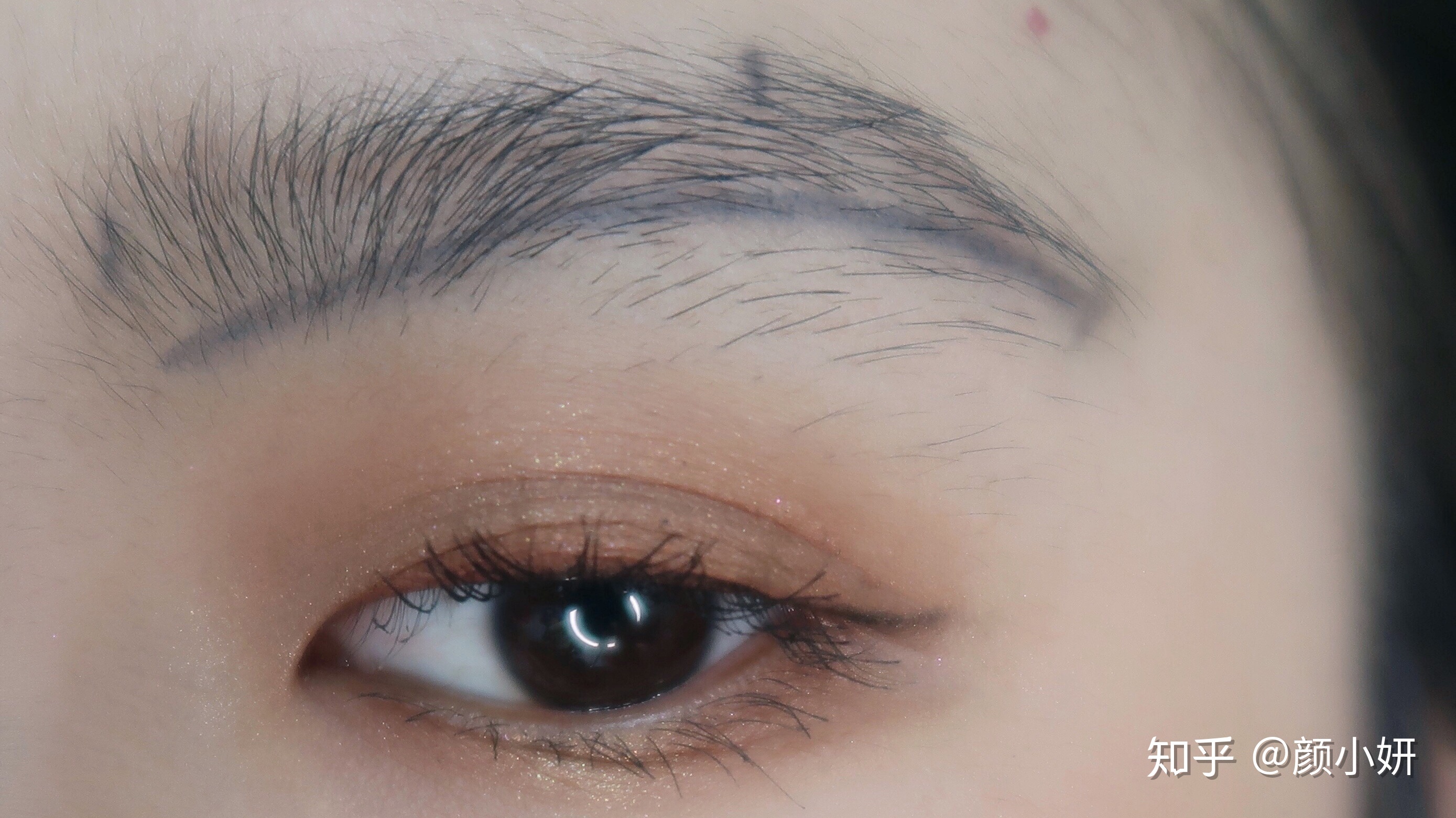 珠海市退役军人事务局开展抗战胜利80周年纪念活动