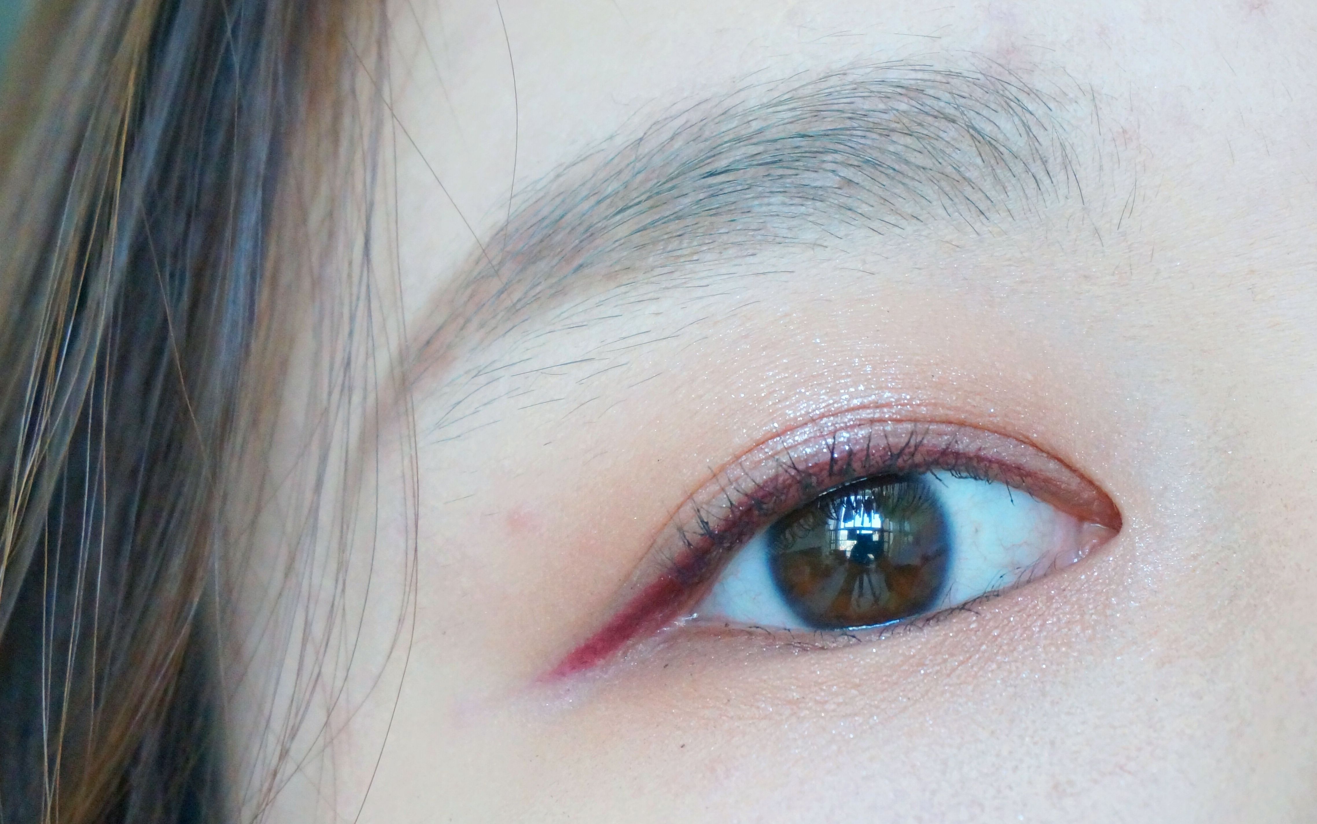 珠海市人大常委会会议表决通过一批人事任免