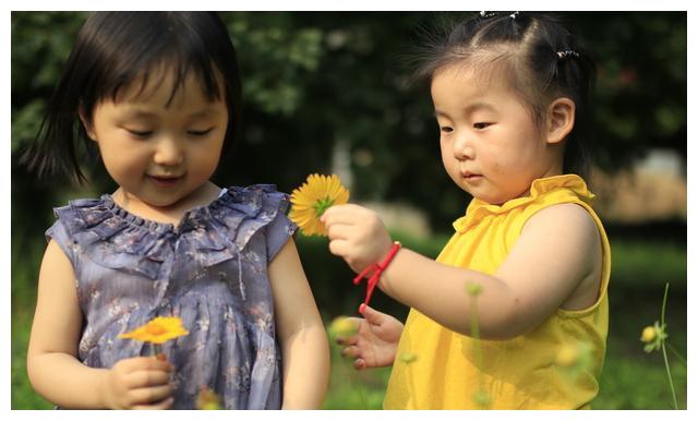 甘肃省开展商标代理行业专项整治行动