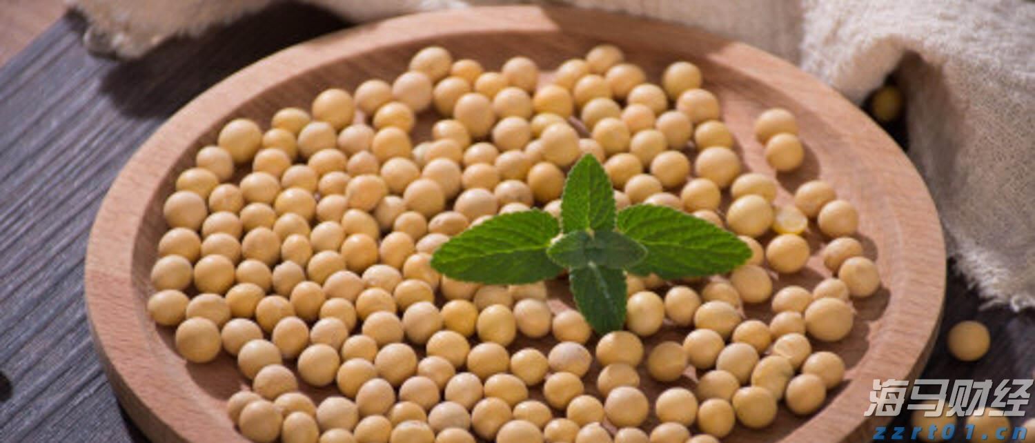 硕问珠海丨引领深蓝，珠海怎样布局“海上新基建”？