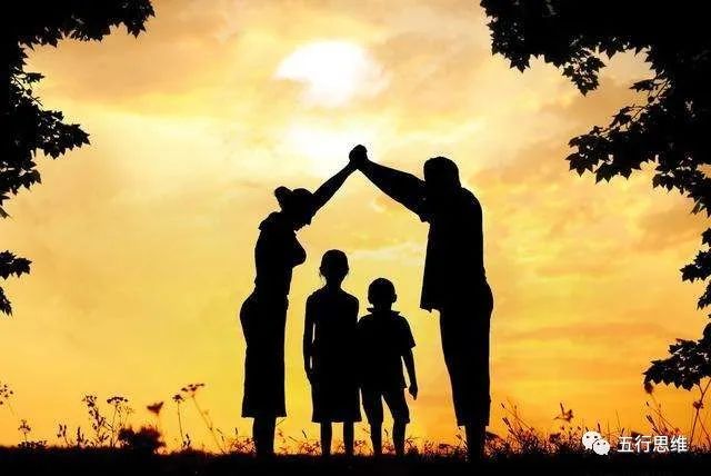 砂仁采摘季，食补正当时