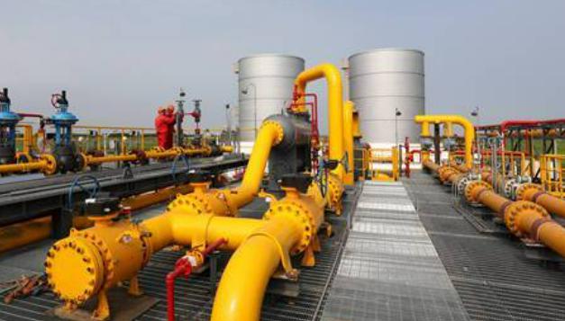 这个夏日，当高州龙眼遇上厦门地标！