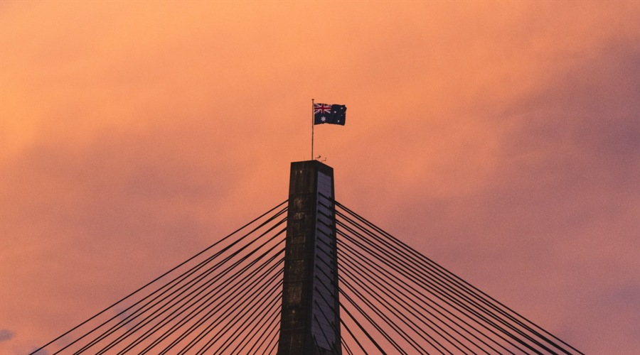 大圩镇:黄皮满枝头致富“黄金果 ”